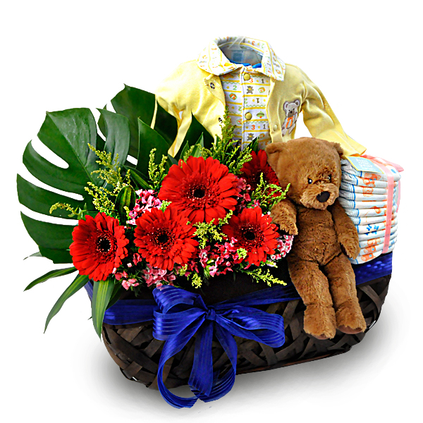 NEW ARRIVAL BASKET - BABY GIFT HAMPER