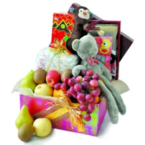 Little Explorer baby activity playbook gift hamper with fruits, Yomeishu tonic, diapers, teddy bear and newborn developmental toys.