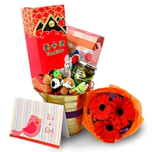 Healthy Mom Titta - Baby Gift Congrats Yomeishu Tonic Hamper
