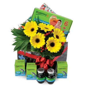 Fish Essence Get Well Hamper with Flowers