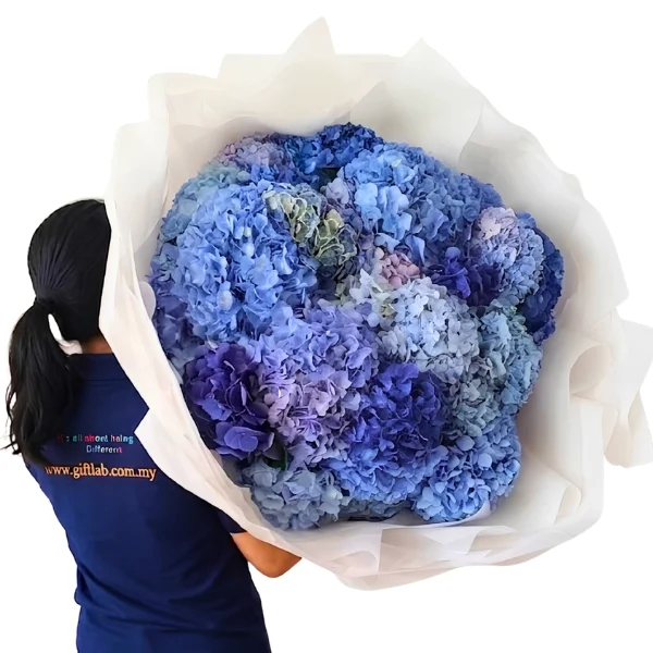 Hydrangea Grandeur luxury bouquet of 30 premium imported blue Hydrangeas by Giftlab Malaysia
