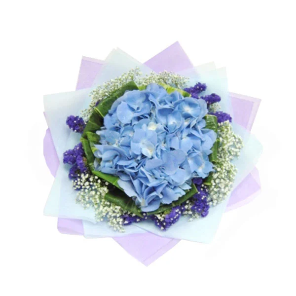 Solely Hydrangea premium imported blue hydrangea hand bouquet with baby's breath Giftlab Malaysia