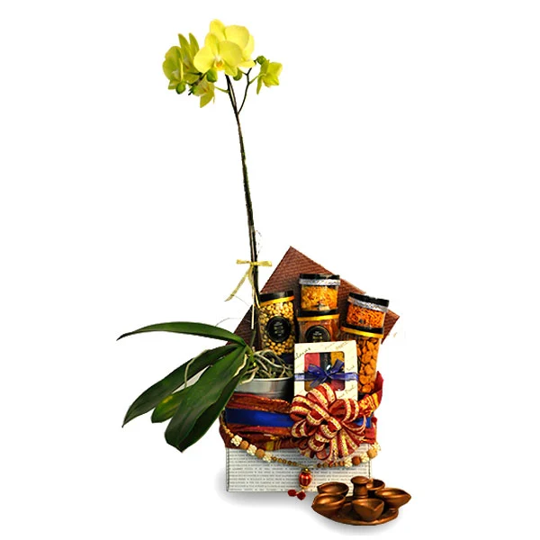 Tarnip Deepavali Vegan hamper with live Phalaenopsis Orchid, Indian snacks and festive Diyas