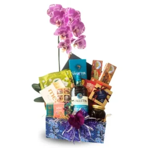Thanmai Deepavali Singleton whisky hamper with live Phalaenopsis Orchid, Leonidas chocolates and gourmet festive treats