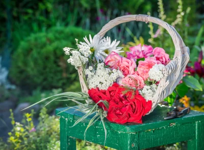 beautiful-colorful-flowers-in-summer-garden-2026-03-24-13-09-52-utc