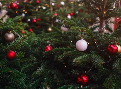 journey-to-christmas-festival-2020-in-moscow-city-2026-03-17-06-45-10-utc (1)
